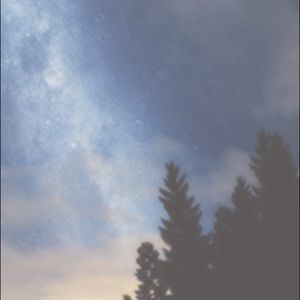 Meet your Posher, Maddie